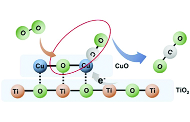 Boosting CO oxidation via CuO/TiO2 heterojunction: The key role of enhanced lattice oxygen migration 2026.101042